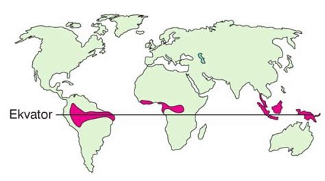 ekvatoral iklim nerelerde görülür